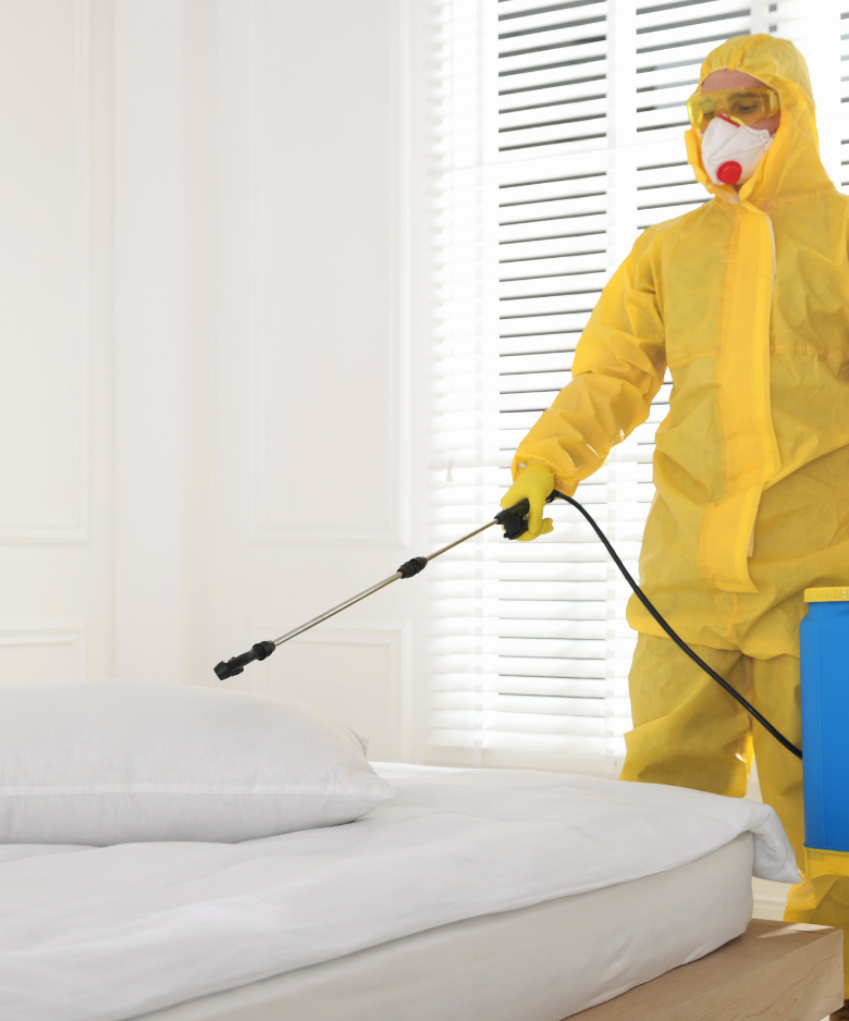Professional Pest Control Team in Angle Park